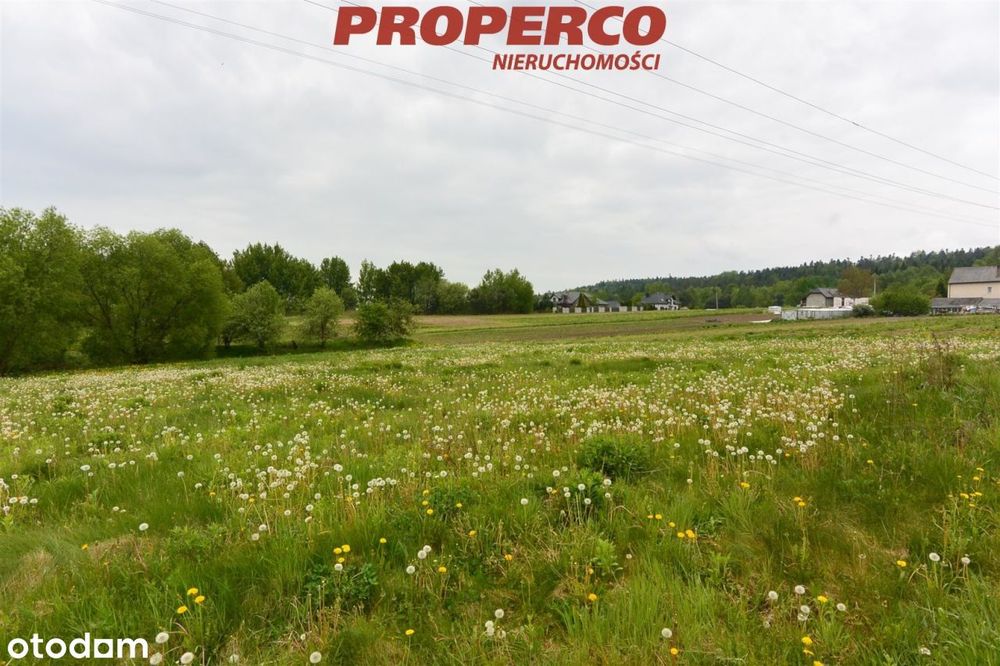 Działka 1600 m2, Cisów, gm. Daleszyce