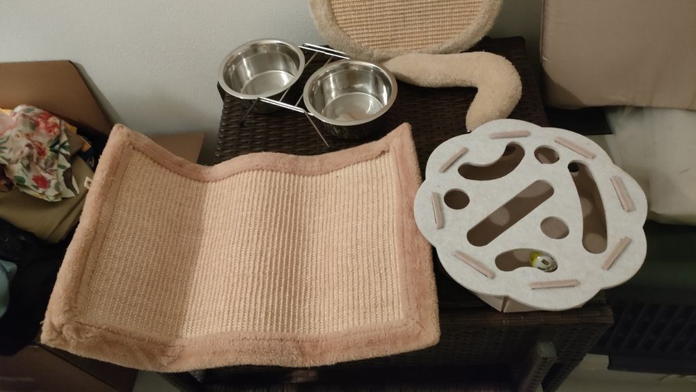Arranhador, comedouro, brinquedos para GATO