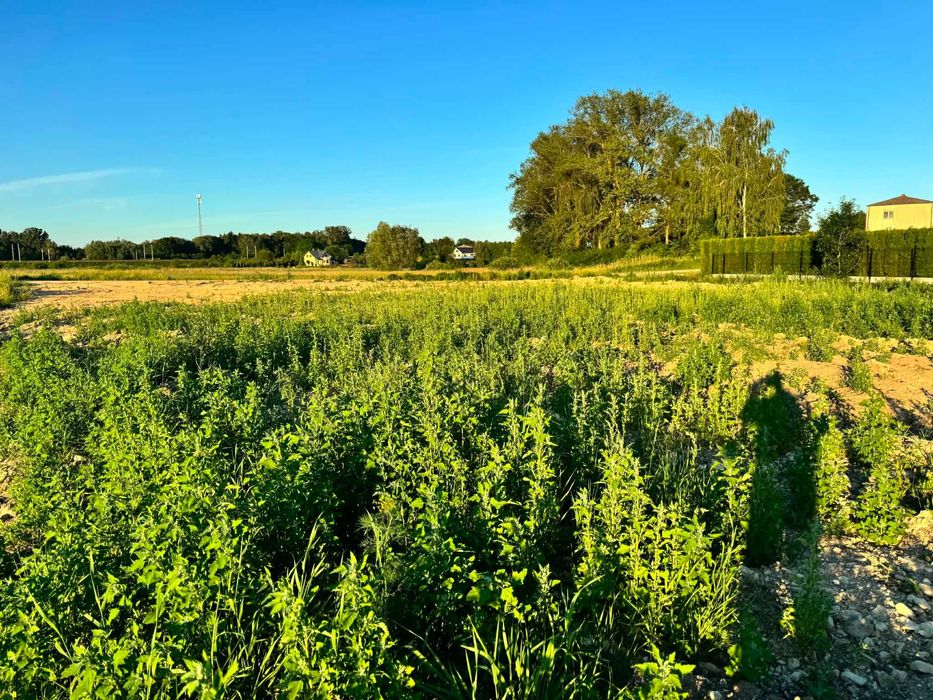 Działka budowlana 19a Miłocin, gm Wojciechów - Widok 4