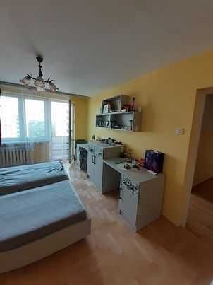 pokój do wynajęcia 17m2, /Obok Ogrodu Saskiego/