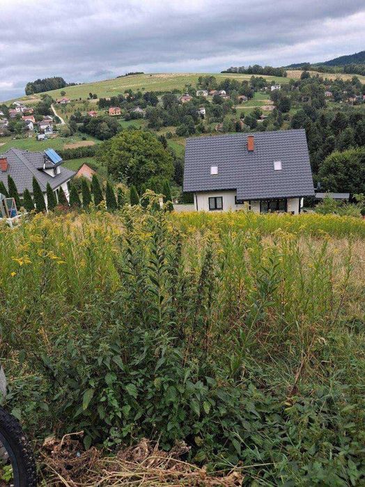 Działka widokowa 10A, Mystków, Kamionka Wielka, Nowy Sącz. - Widok 4