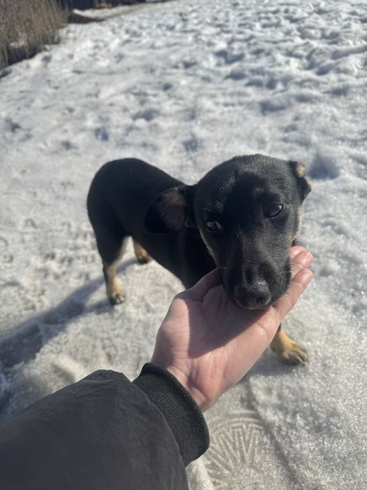 Маленька дівчинка: 1 рік, 5 кг