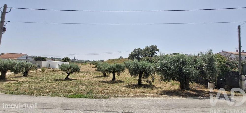 Terreno em Azambujeira e Malaqueijo de 3650,00 m2
