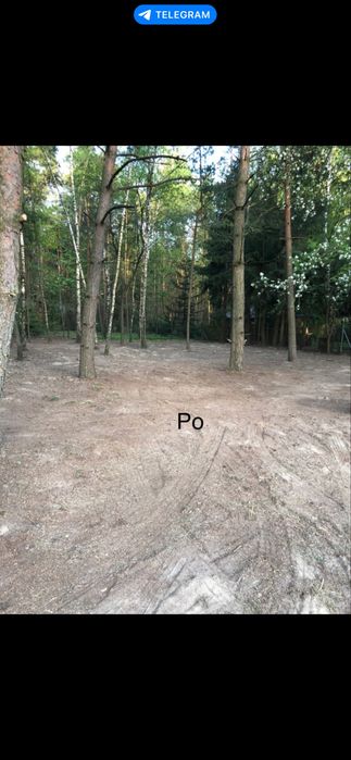 Czyszczenie działek, koszenie trawy