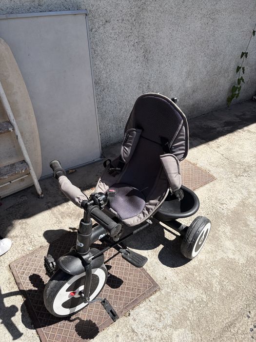TRIO- Triciclo Evolutivo