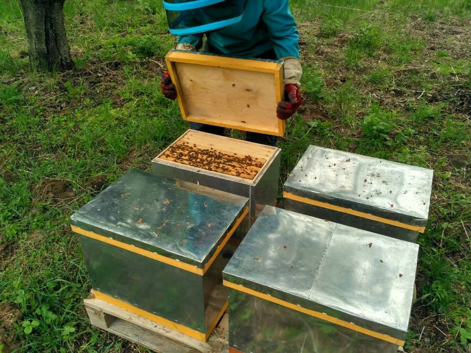 Алюминий, листовой, на вулик , улья , дадан,рута,рамки,Бляха,криша