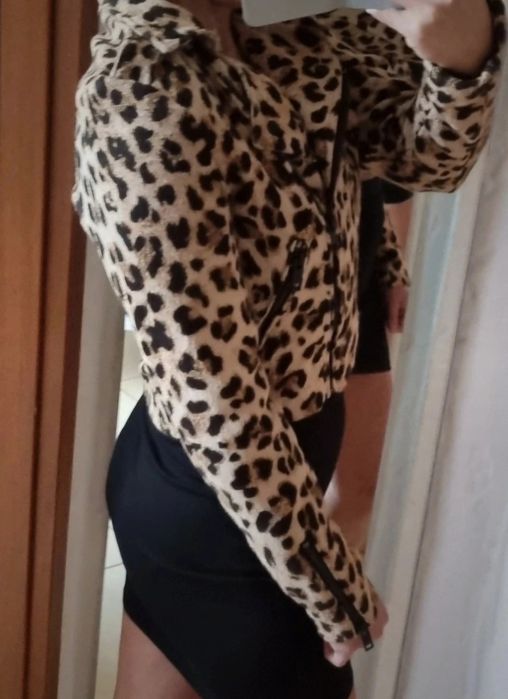Śliczna Kurteczka