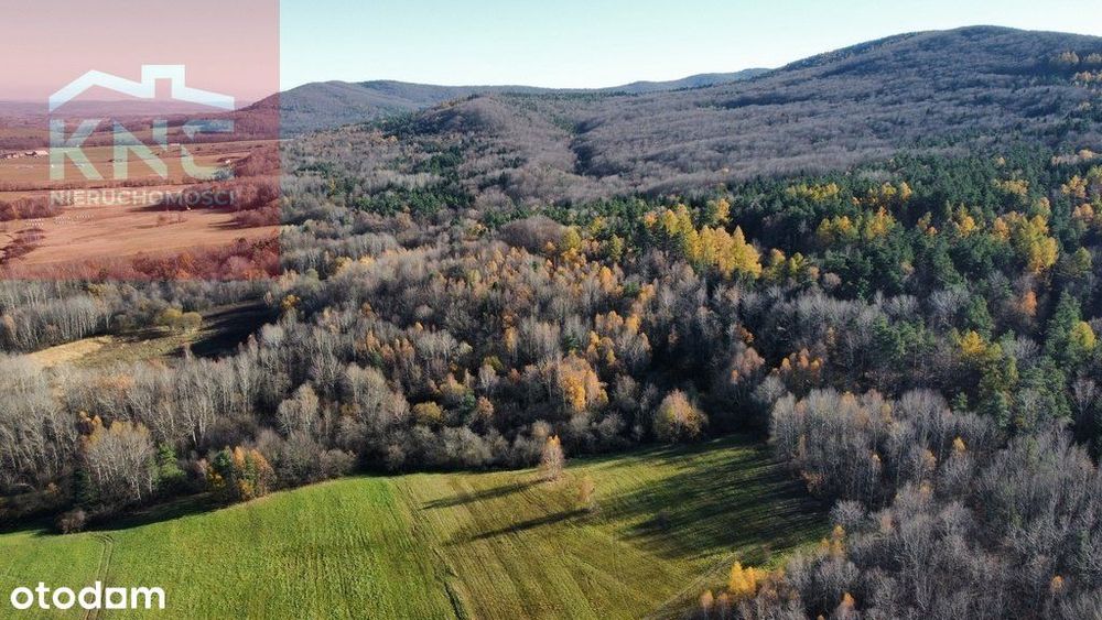 2,54 ha w Rozdzielu przy Magurskim Parku /#Ferdel