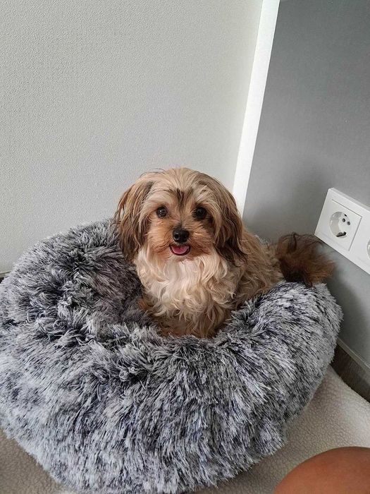 Legowisko Łóżko dla psa, kota miękkie szare