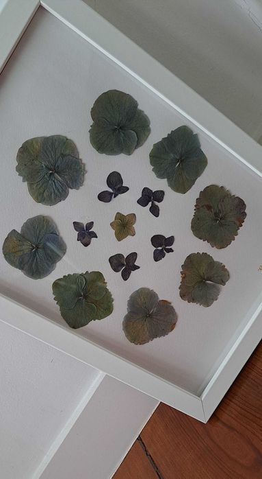 Moldura Coleção Açores- Hortênsia