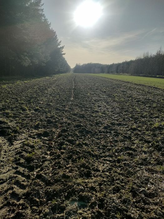 Ziemia Rolna 2,4h