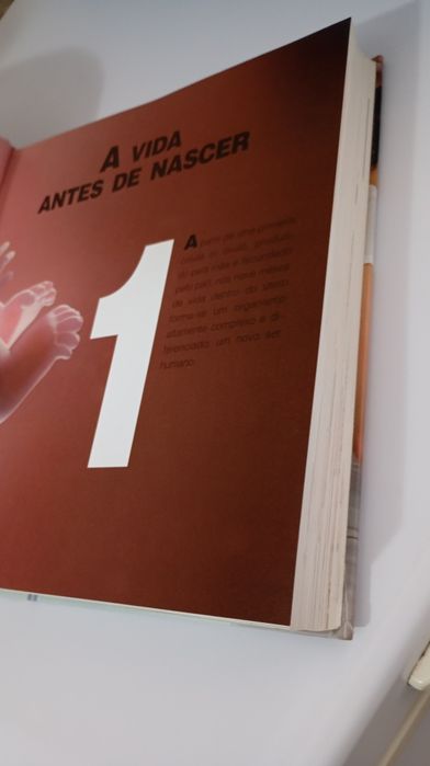 Livro Gravidez e primeiros anos