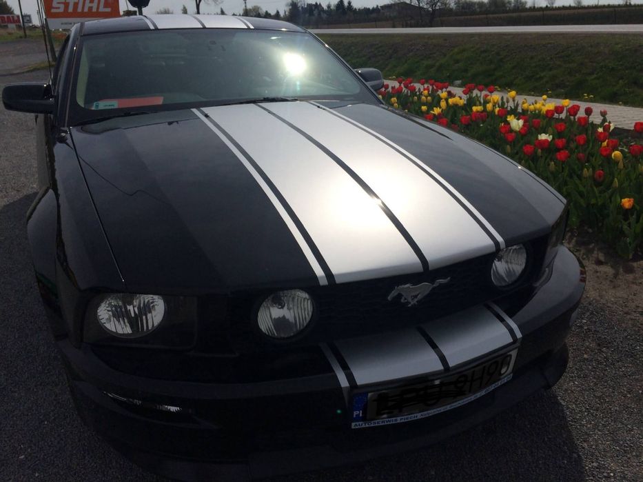 Ford Mustang Mustang gt/cs 2007 polecam