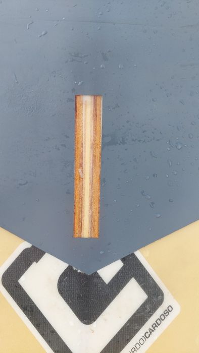 Surfboard Lonboard 9.1