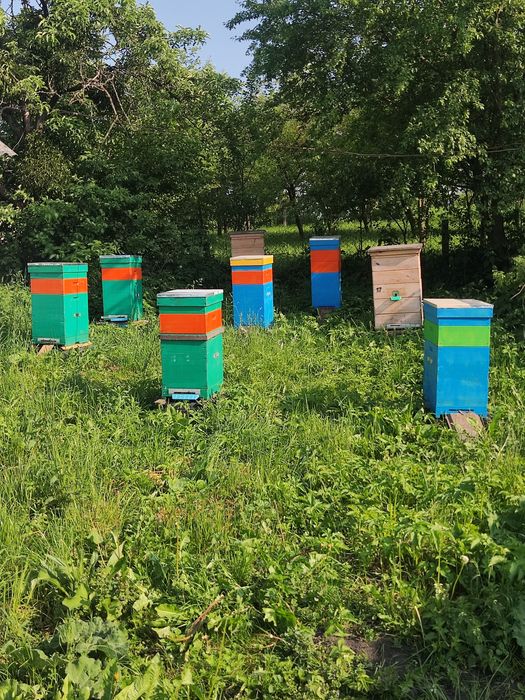 Продам бджлопакати на українську рамку