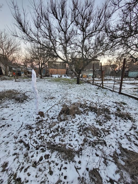 Продам хорошую дачу сады1