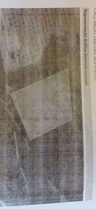 Pinhal sito à Portela, com bons acessos.