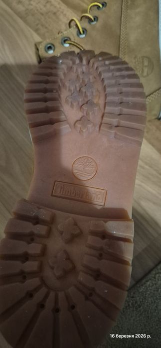 Черевики  жіночі  Timberland