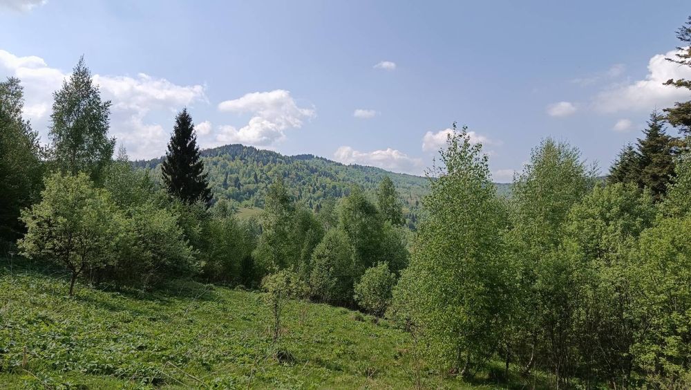 Земельна ділянка Новий Кропивик