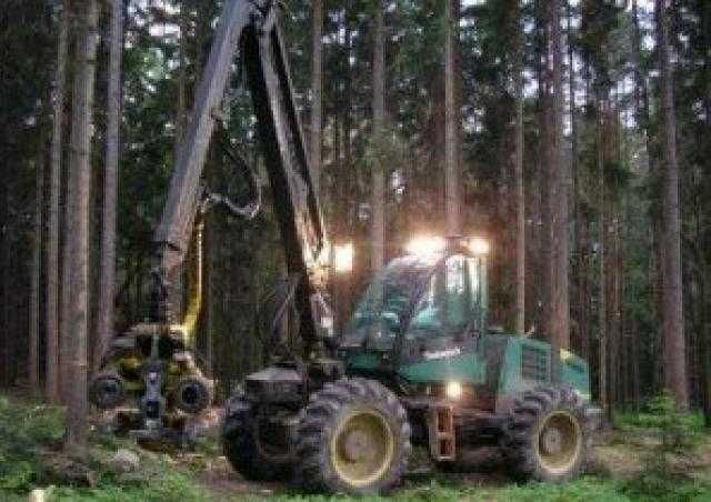 Wycinka harwesterem usługa leśna LAS Harwester wynajem Zielona +-100km