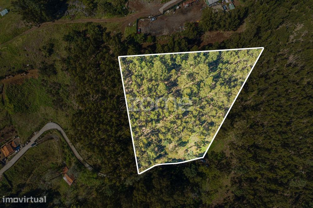 Terreno na Camacha