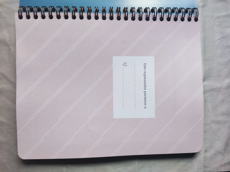Organizador Mr. Wonderful