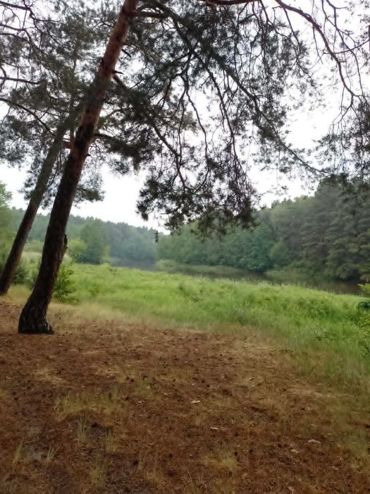 działka rekreacyjna nad Wartą Patnow Kepowizna
