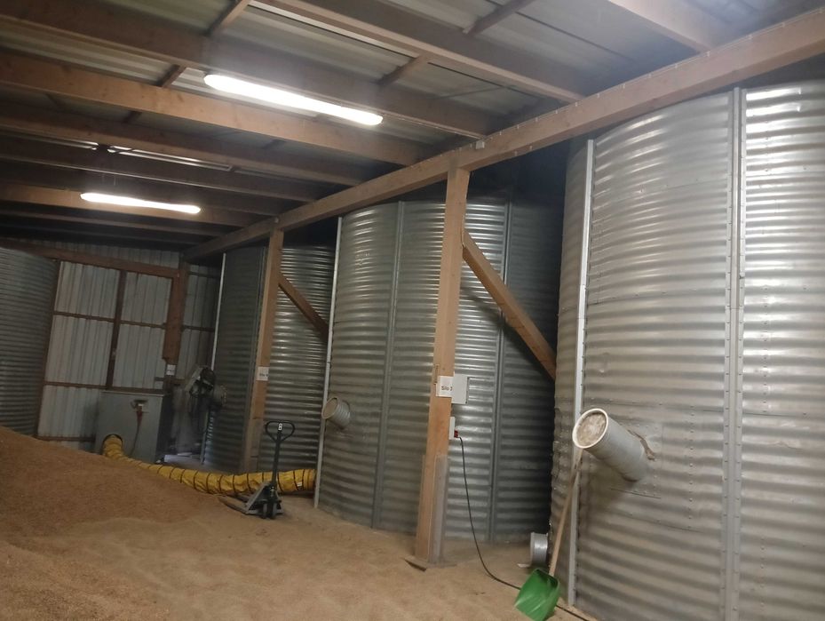 Silos wewnętrzny plaskodenny