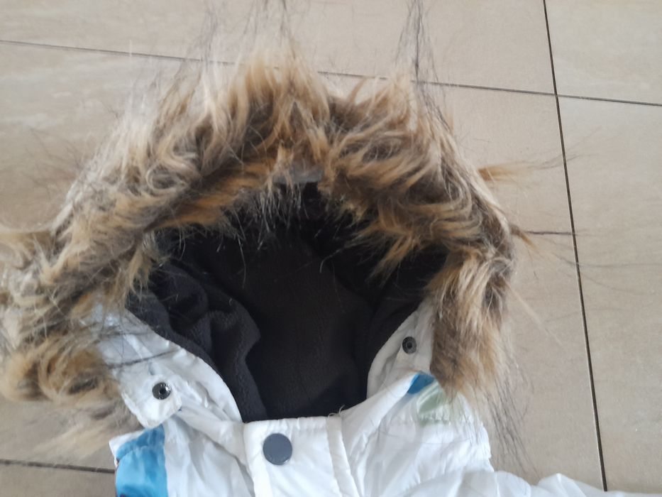 Kurteczka Reserved 104