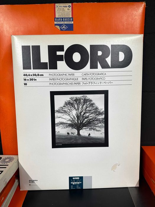 Ilford Multigrade RC De Luxe Pearl / Perola Photographic Paper 40x50 (New)64751687510147120