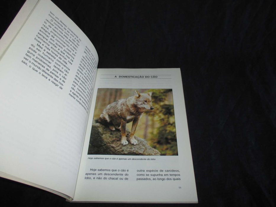 Livro Conheça melhor o seu cão Suzette Preiswerk da Mota Veiga