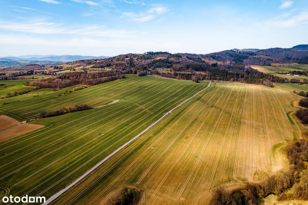 Okazja! Działki budowlane 5 km od Kłodzka - Widok 5