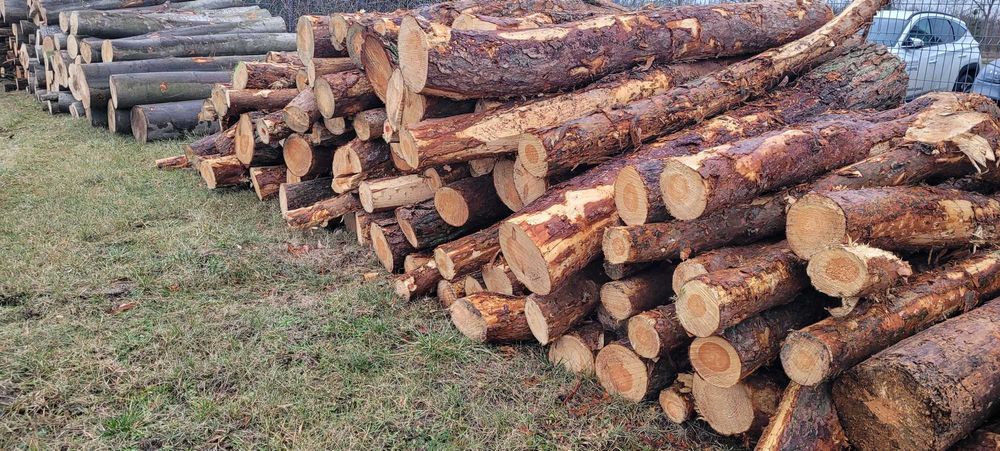 Drewno opałowe, drewno kominkowe,  sosna dł 2,5 m