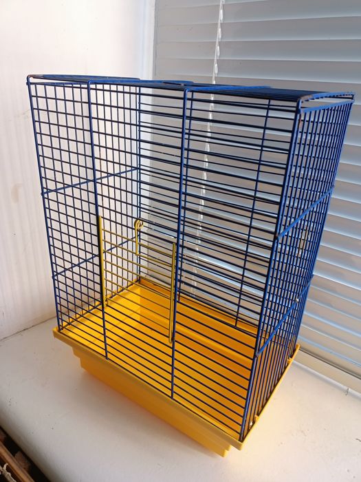 Щурик сфінкс криска