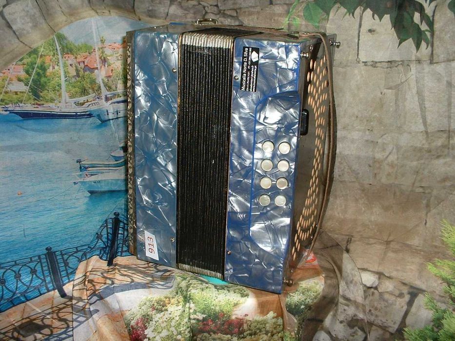 Concertina para venda N, 913