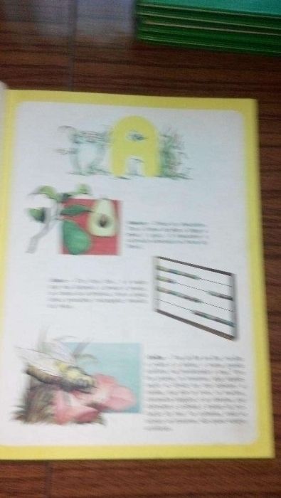 enciclopédia infantil ilustrada