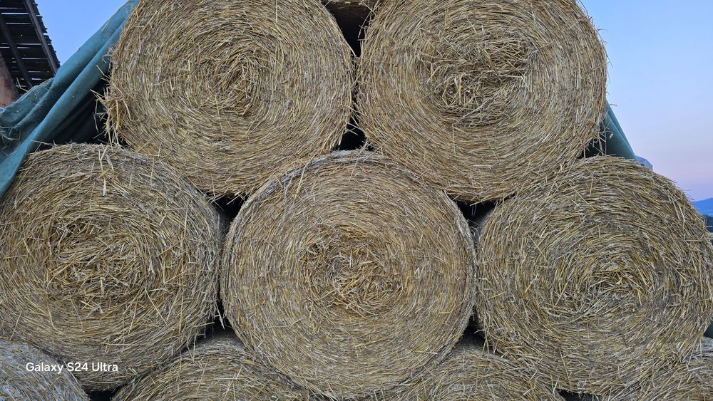 Słoma bele 125 x120