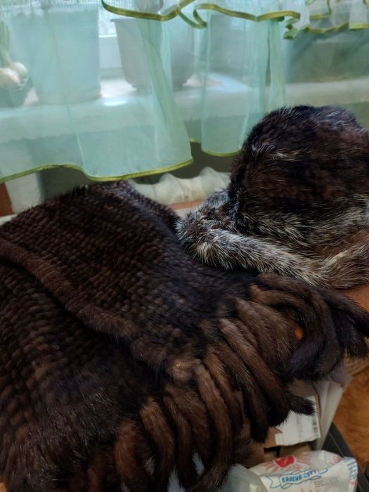 Натуралка норка,комплект  шапка и шарфик с натуральной норки