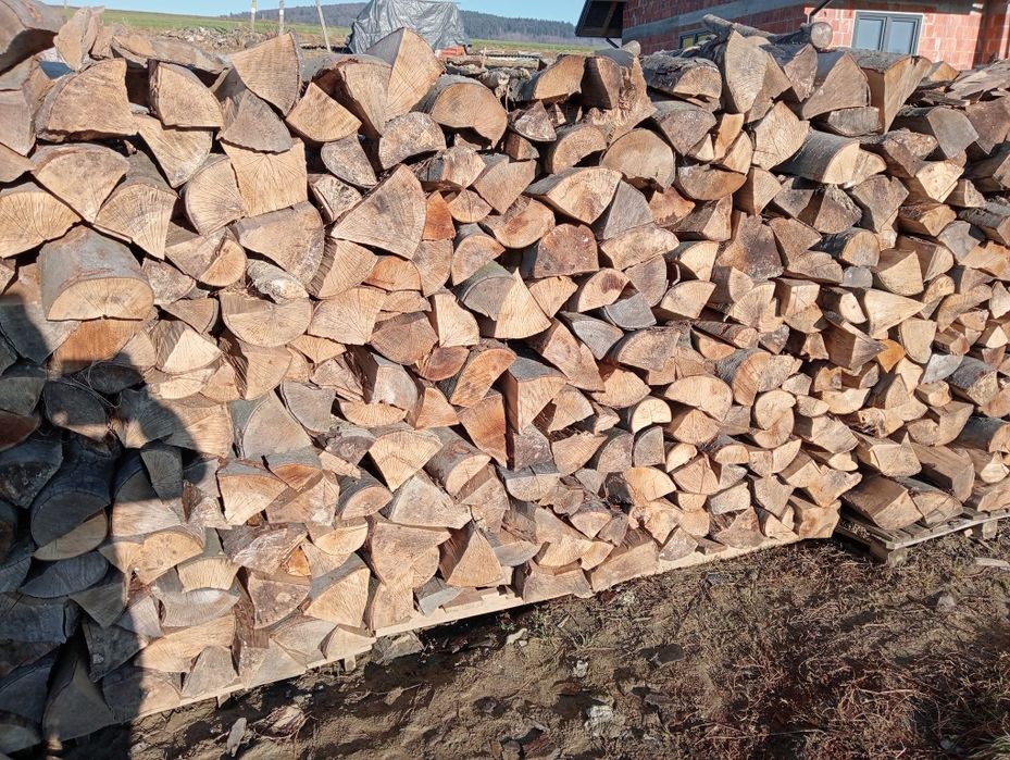 Drzewo opałowe buk jasion