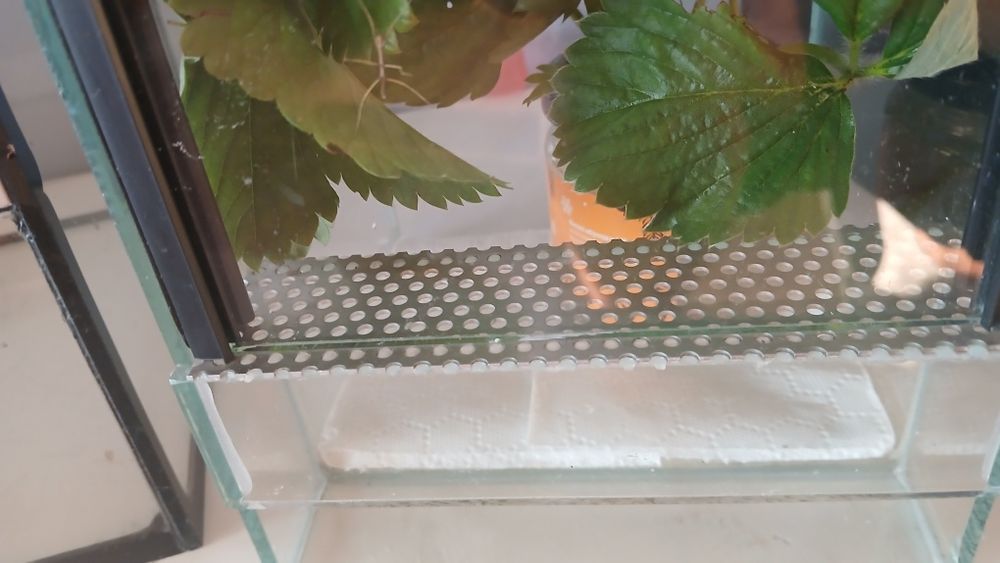 Terrarium 2sz. 20x20x30 + 15x15x20 cm