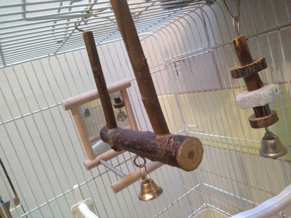 Poleiro de Madeira Natural