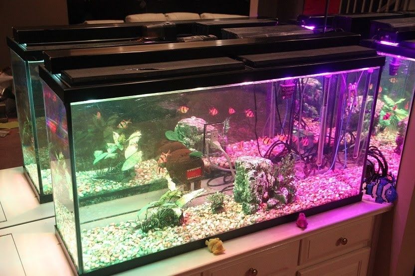 Taśma led RGB z pilotem do Tv akwarium na szafe łóżko. 5m