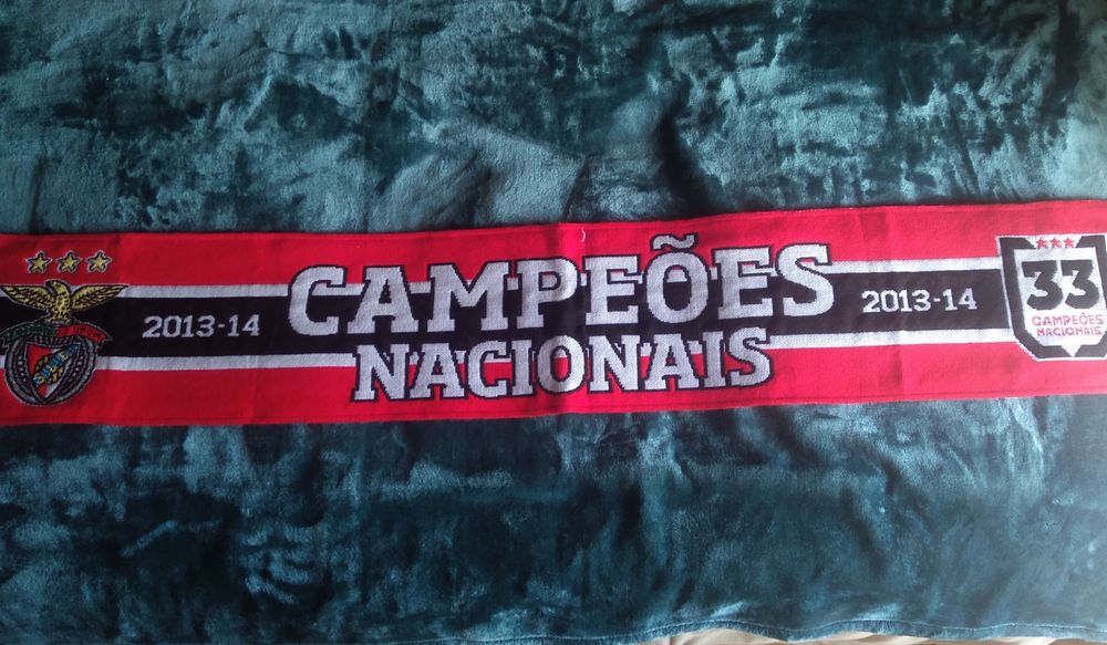 Camisola do Benfica oficial 2013