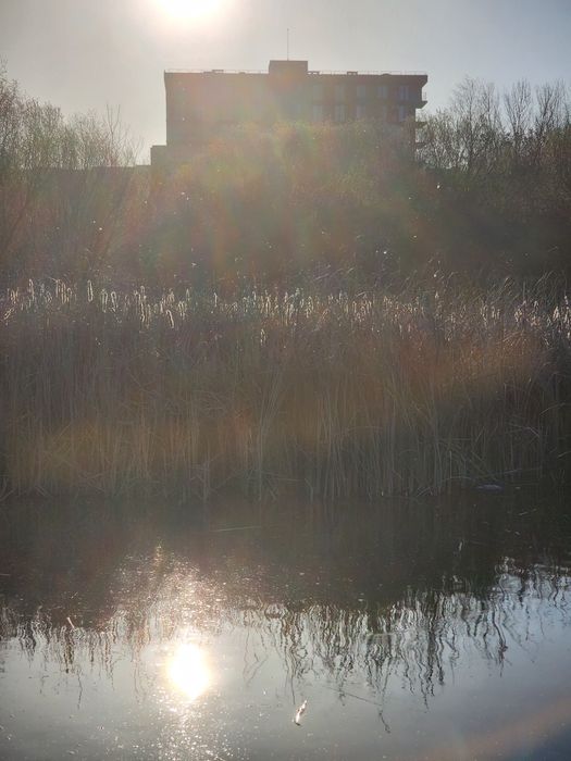 Квартира біля озера:59,5м 1,5 кімн, ЖК City Park,підходить єОселя, Ужгород