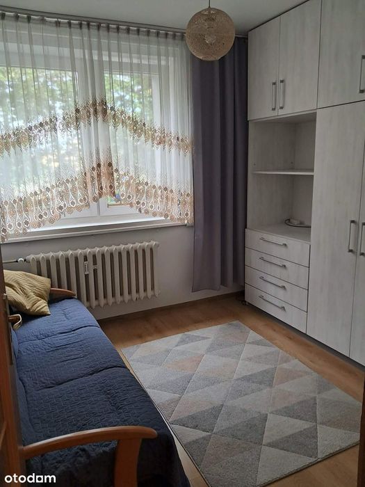 Zdjęcie 3