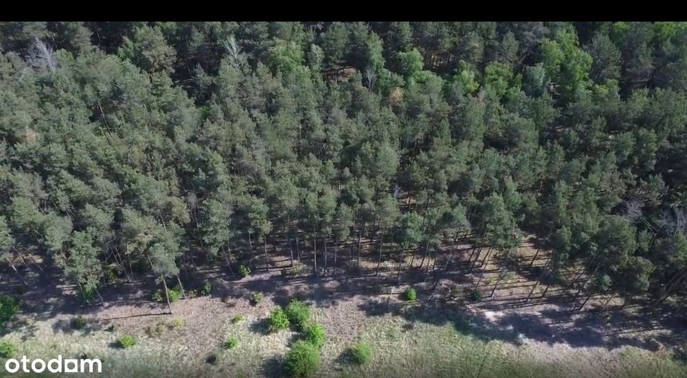 Działka budowlana 3000 m² z własnym lasem blisko jeziora – pohled 5