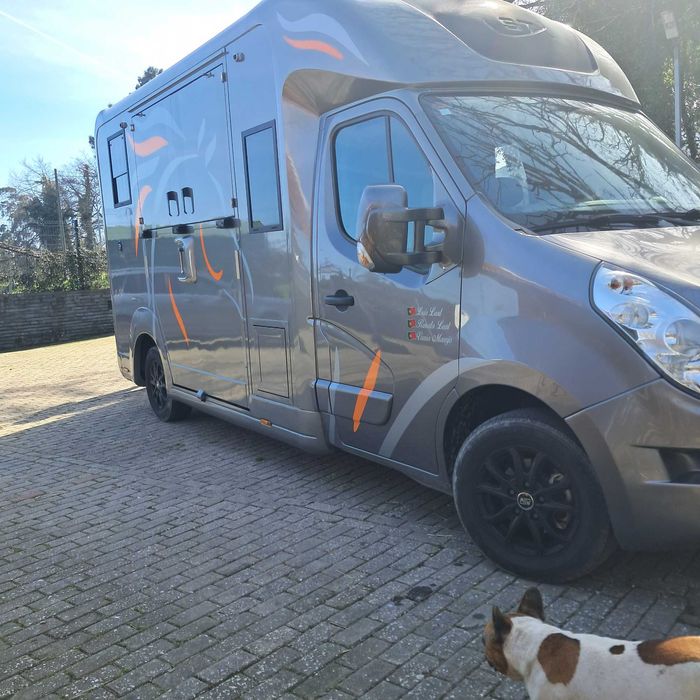 Renault Master STX Transporte cavalos 5 lugares