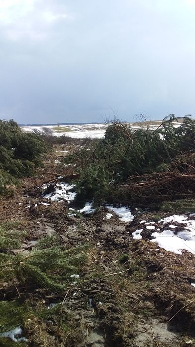 Послуги з  розчищення  ділянок,корчування пнів.