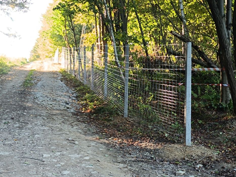 Ogrodzenia tymczasowe siatka leśna słupek betonowy drewniany montaż