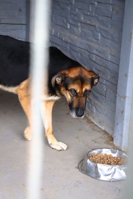 Mike - najsmutniejsze oczy za kratami